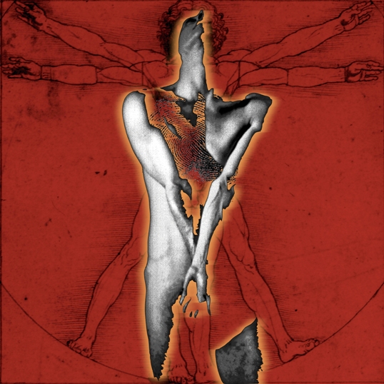 conexiones_volviendo_a_nacer_carmen_fulle