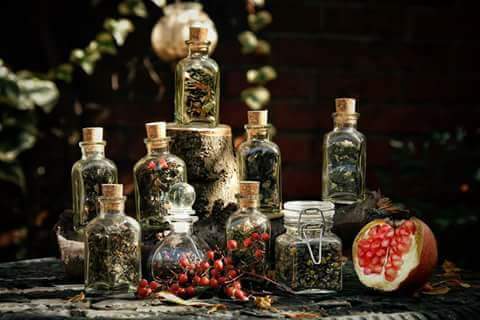 FB_IMG_1493696194727