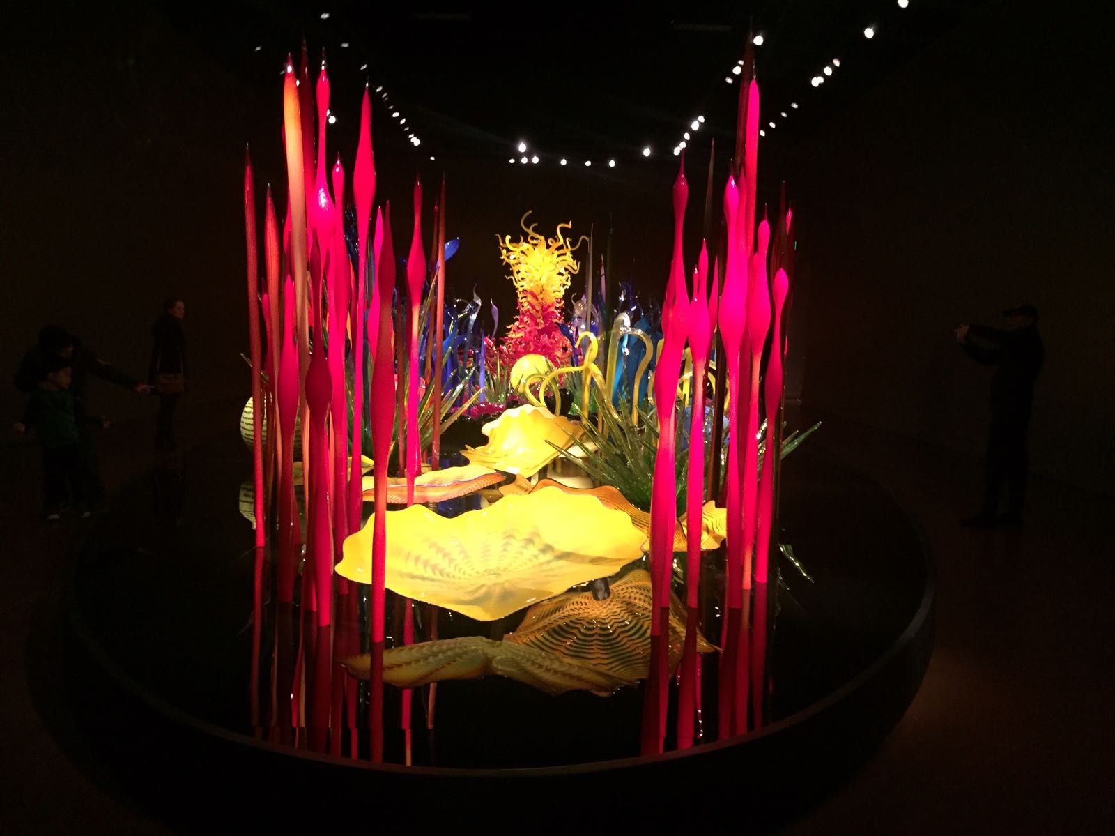 Chihuly Garden 4-Fotografía Trinidad del Real