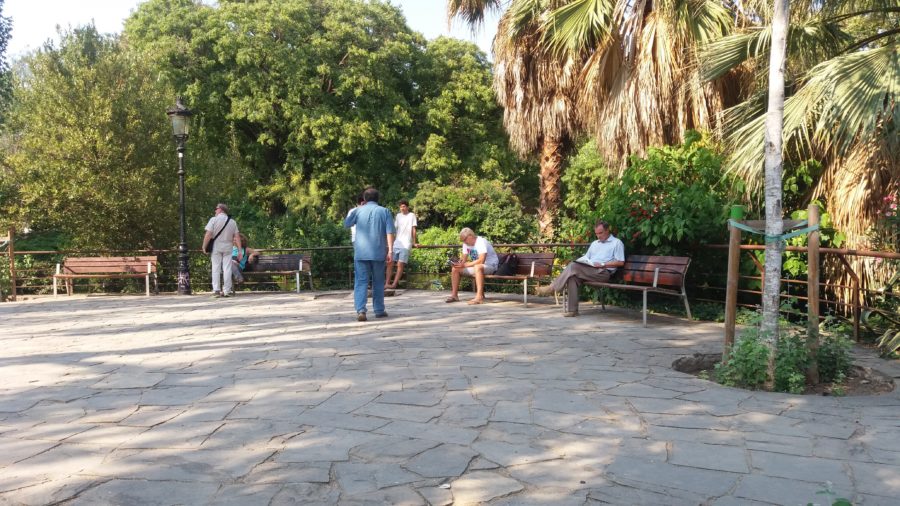 5. Terraza cercana a la laguna