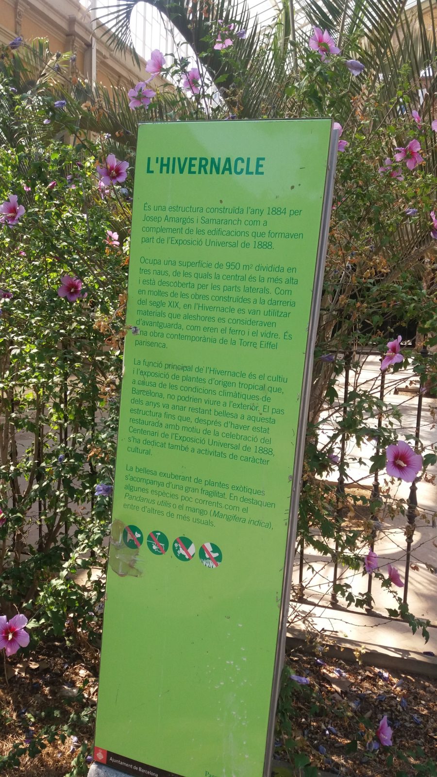 7. Entrada al invernadero