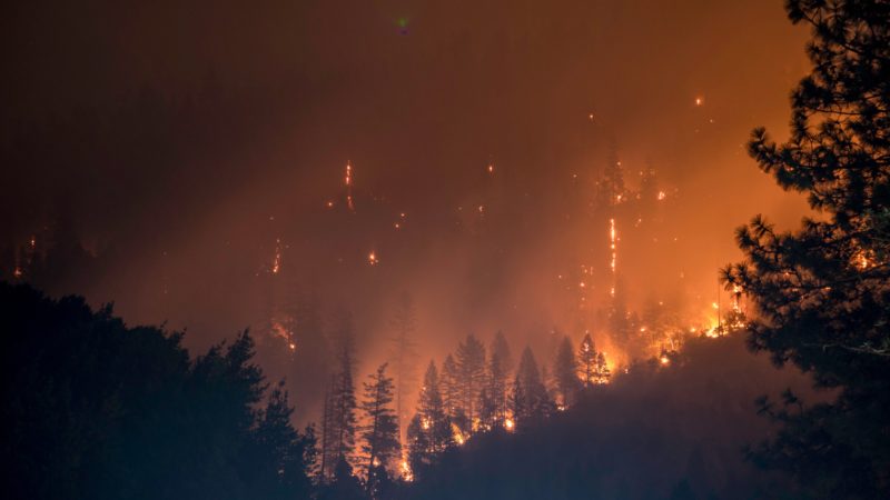 Incendio. Foto: Matt Howard