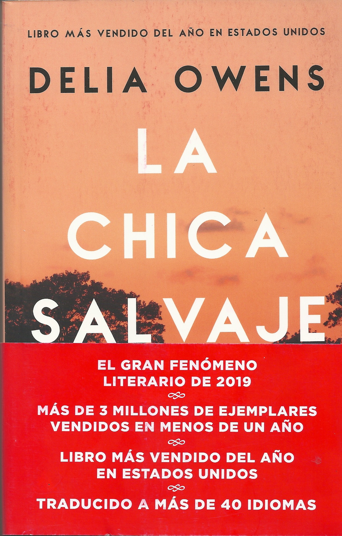 La chica salvaje