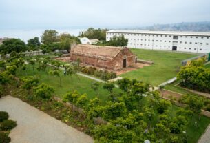 hallazgos bioarqueológicos