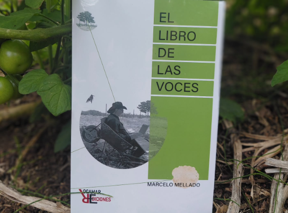 El libro de las voces